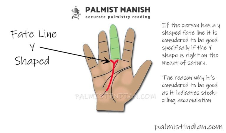 32 Different type of Fate line Palmistry - Saturn line/Destiny Palmist ...