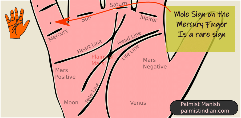 Rings and Fingers Symbolism | Girls Guide – Albert Hern